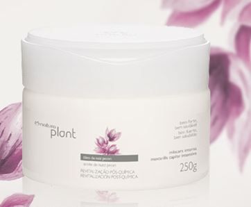 PLANT REVITALIZACAO PÓS-QUÍMICA MÁSCARA INTENSA 250 G