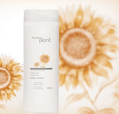 PLANT LOIRO VIVO SHAMPOO 300 ML